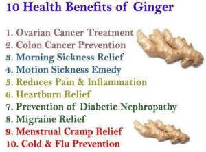 ginger_health_benefits